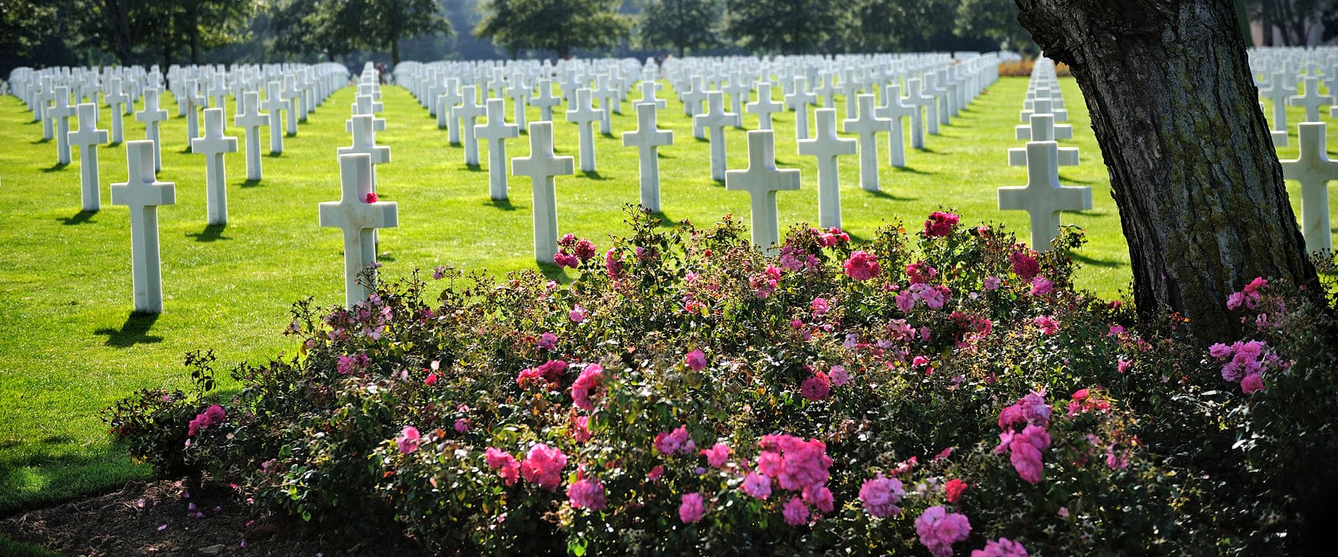 Normandy to victory tours American tour Cemetery